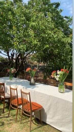 EZO Guest House